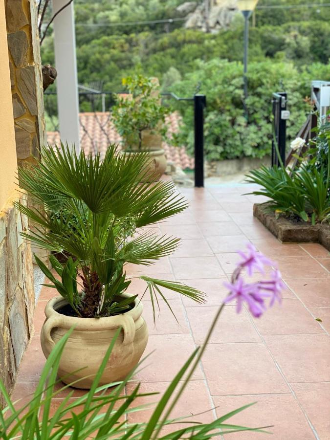 Sa Terrazza Costarei